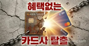 2026 나라사랑카드 3종 혜택 비교: 신한 하나 기업 카드사별 선택 가이드