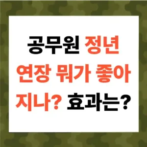 공무원 정년 연장 장점: 노후 소득·숙련 인력·연금 재정 효과